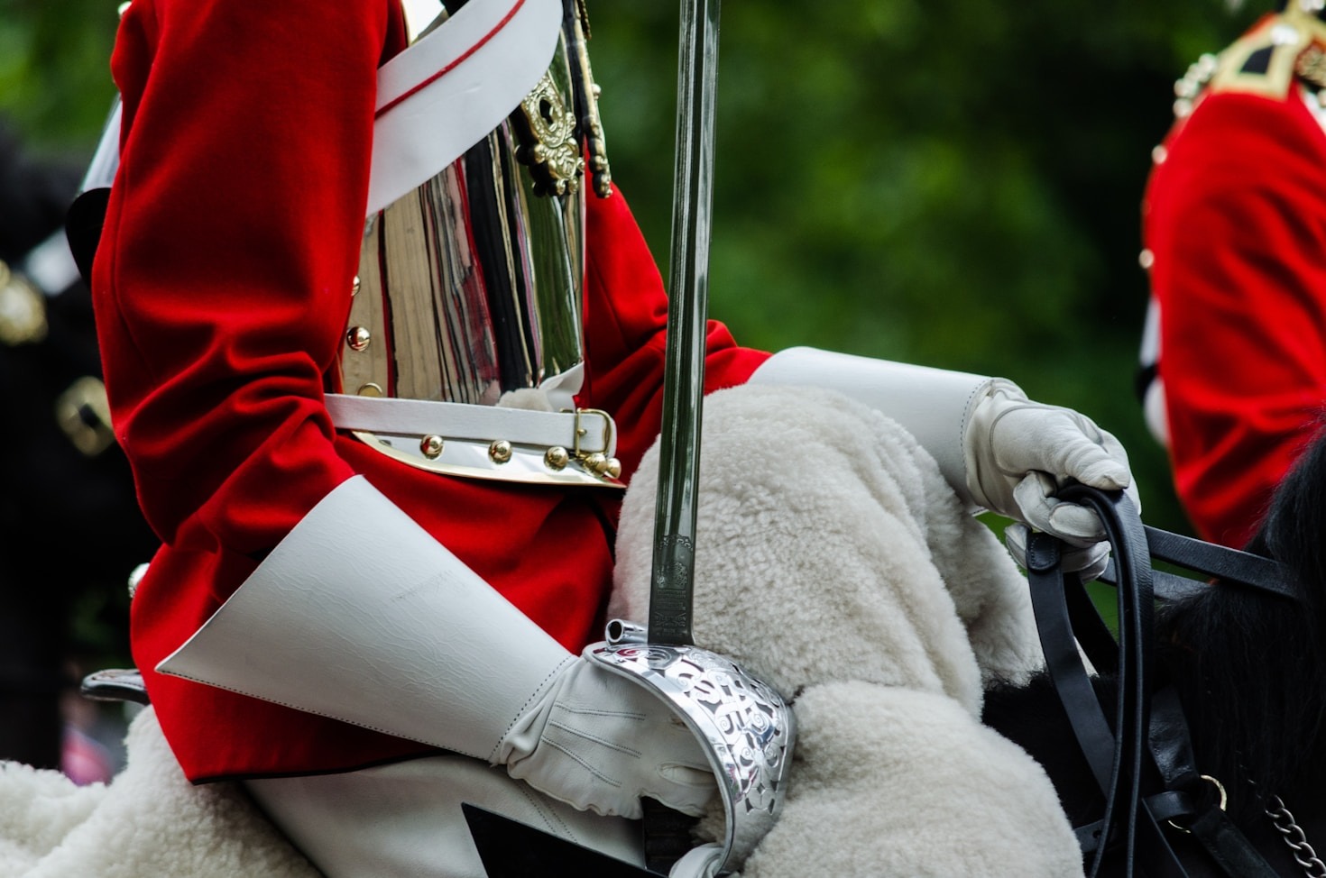 Knights in Service: Stories of Impact